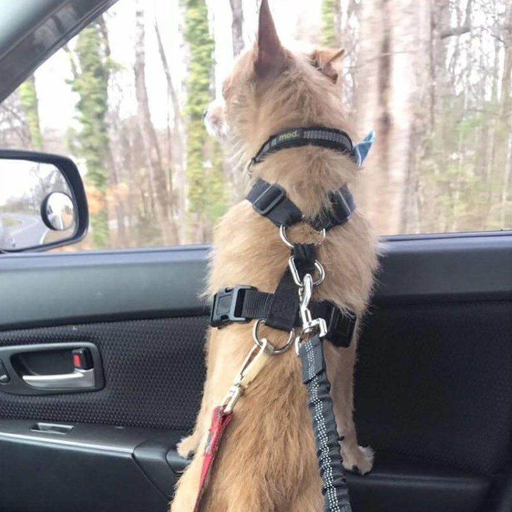 Adjustable Dog Seat Belt Dog Car Seatbelt Harness Leads Elastic Reflective Safety Rope - key words