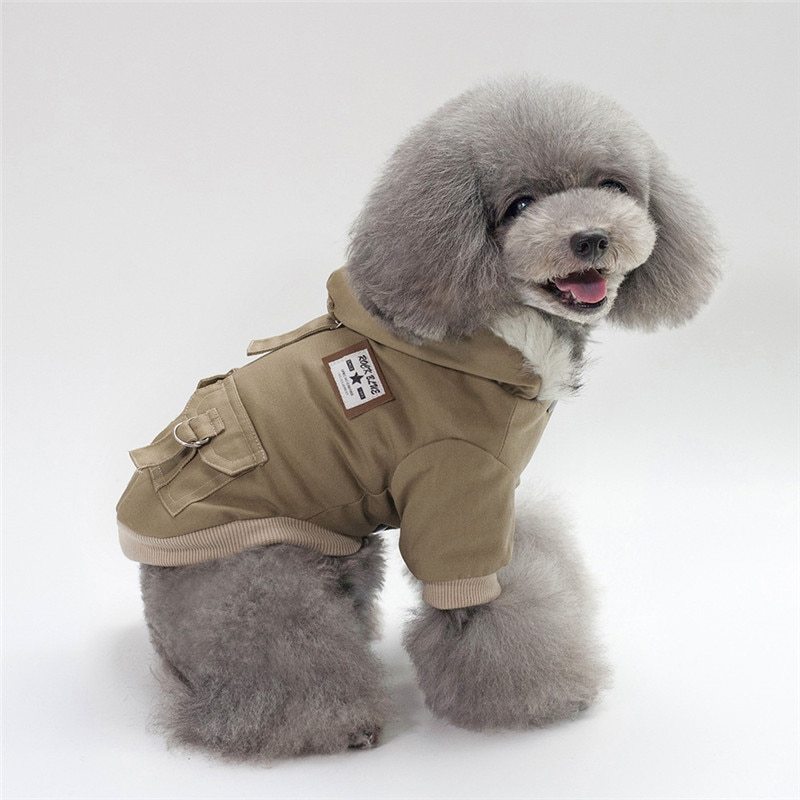 Cap dog coat - key words