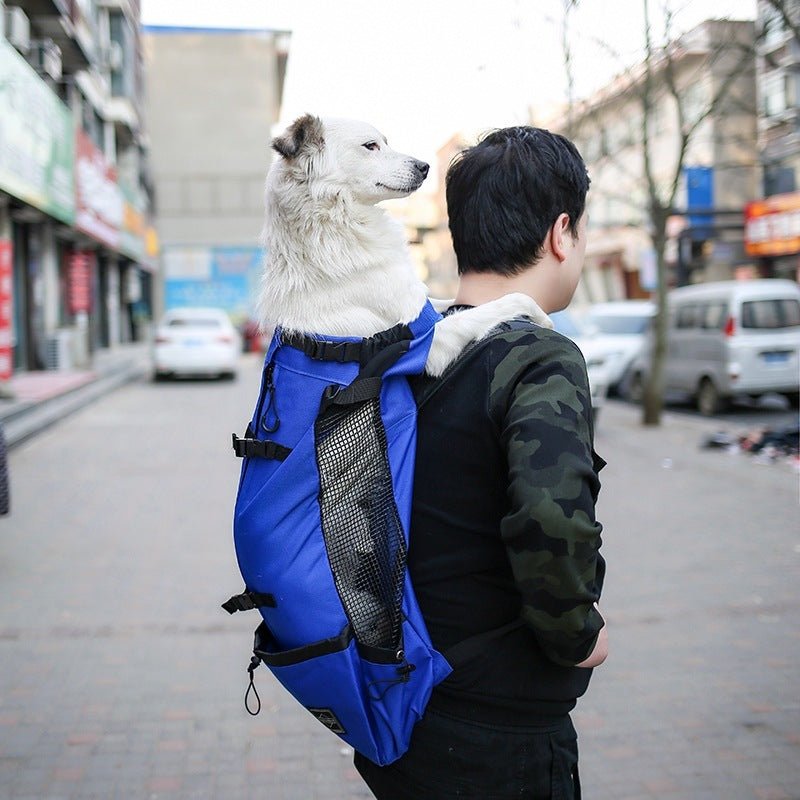 Pet Dog Carrier Bag Carrier For Dogs Backpack Out Double Shoulder Portable Travel Backpack Outdoor Dog Carrier Bag Travel - key words