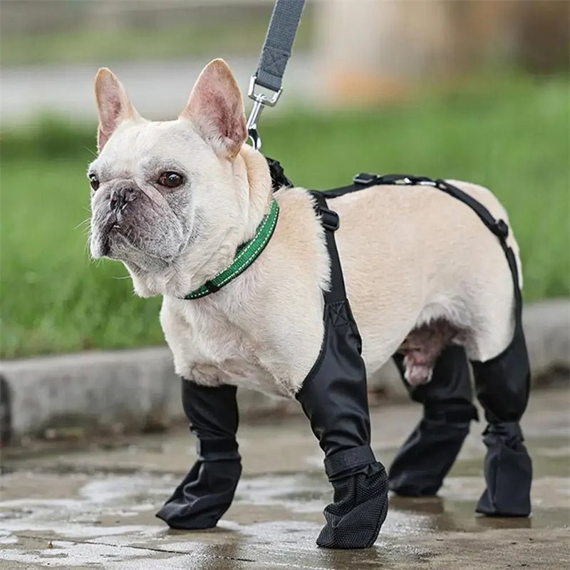 Waterproof Dog Shoes Adjustable Dog Boots Pet Breathbale Shoes For Outdoor Walking Soft French Dog Shoes Pets Paws Protector Pet Products - key words