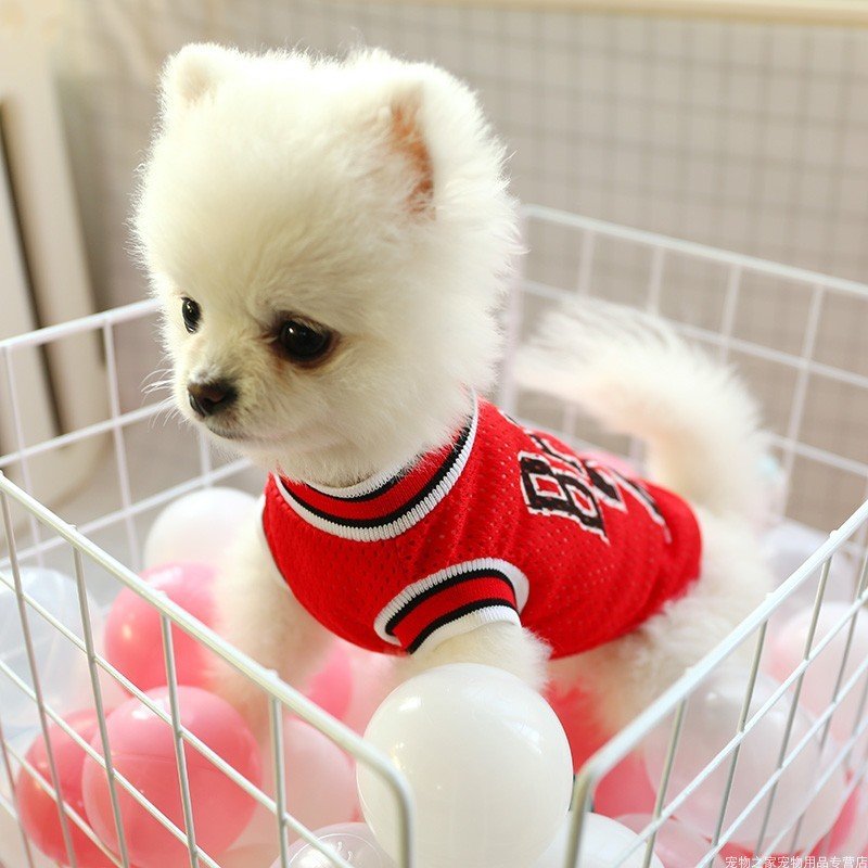 Dog Summer Clothes Teddy Vest Breathable - key words