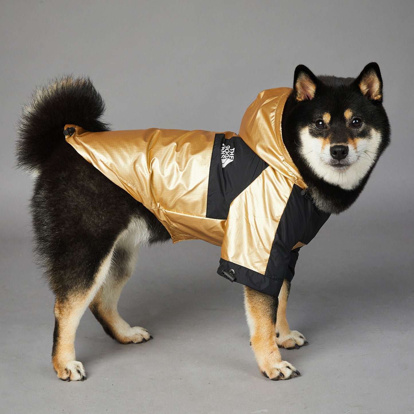 Dog Large Dog Raincoat Pet Jacket - key words
