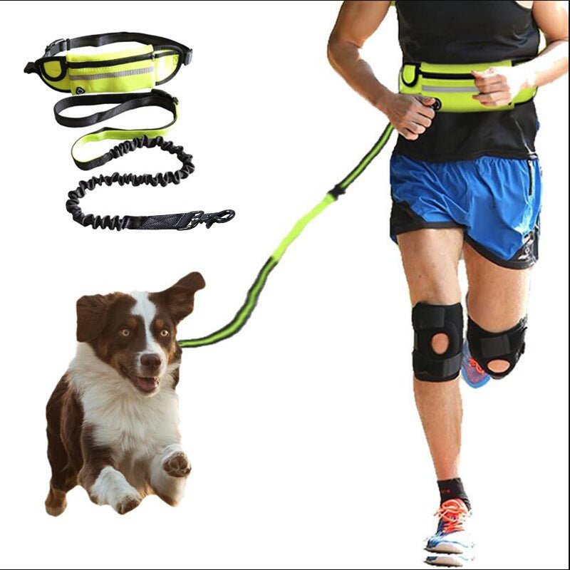 Hands Free Dog Leash Pet Walking And Training Belt With Shock Absorbing Bungee Leash For Up To 180lbs Large Dogs Phone Pocket And Water Bottle Holder - key words