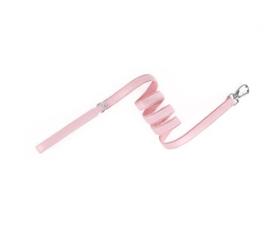 Airtag Pet Collar Tracker Protective Cover Leather Collar - key words
