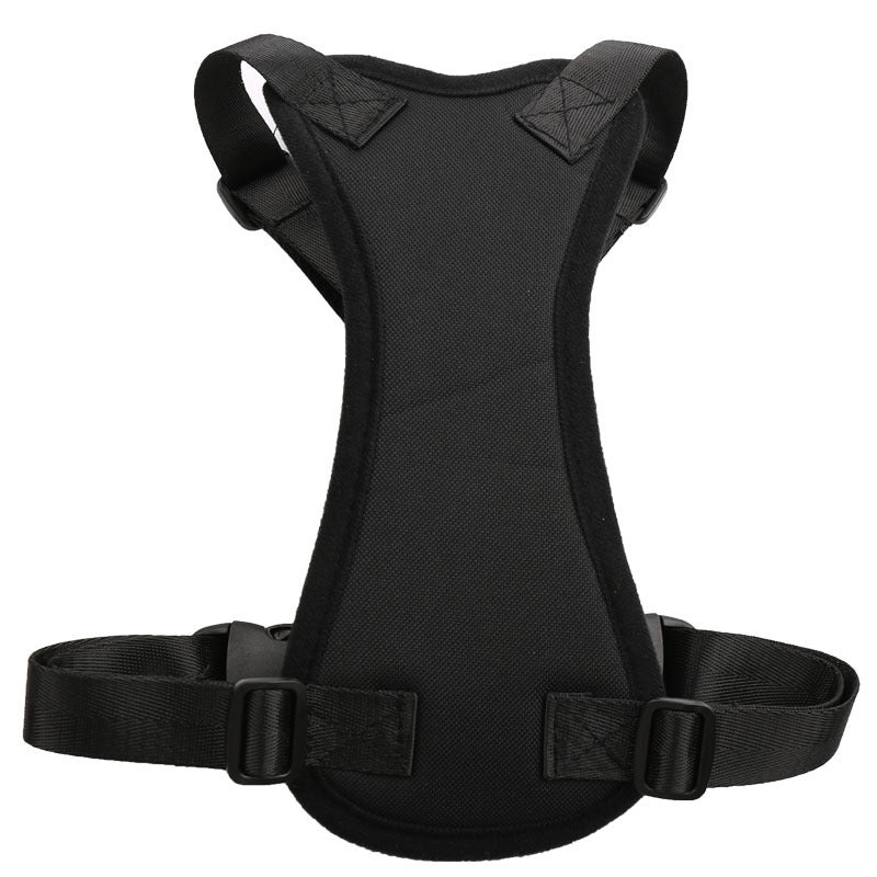 Car seat belts for pets - key words