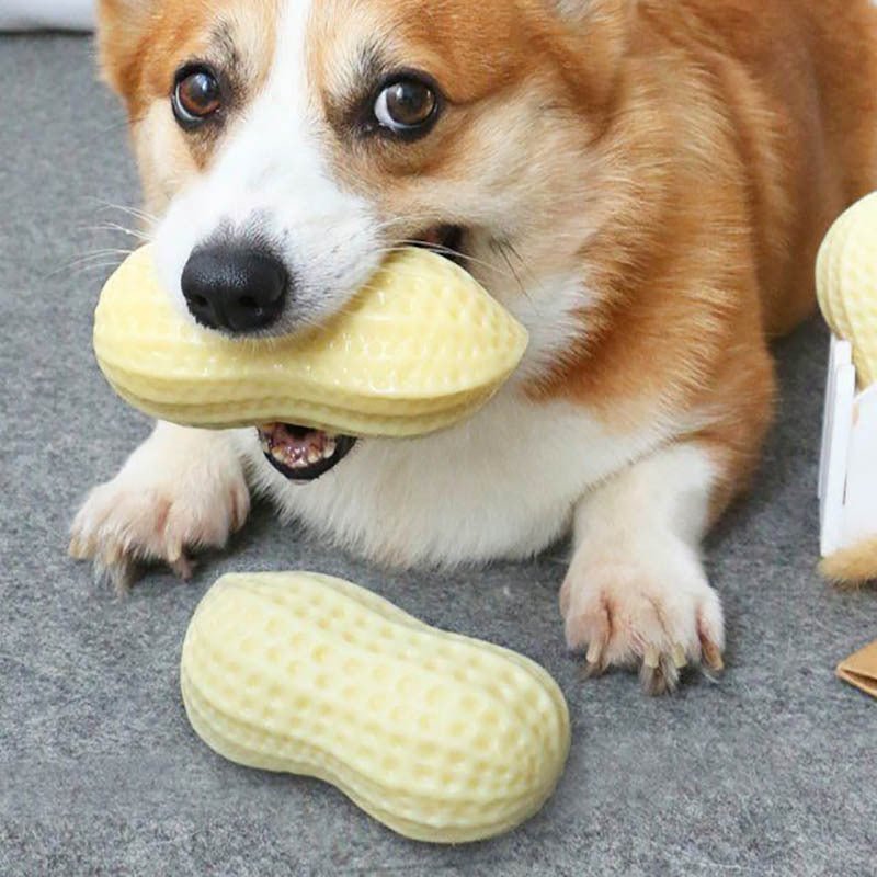 Funny Pet Dog Squeaky Toys For Small Middle Dogs Bite Resistant Puppy Cat Dogs Toys Pets Rubber Peanut Clean Tooth Chew Toy - key words