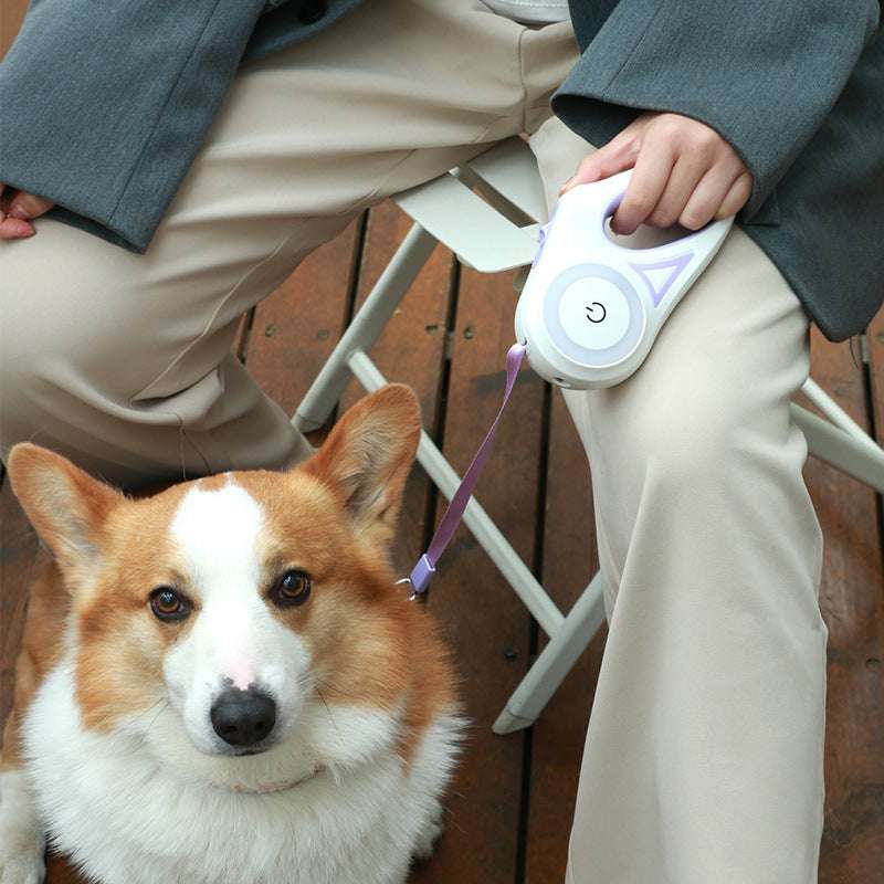 Dog Leash Retractable Leash And Dog Collar Spotlight Automatic Pet Dog Cat Traction Rope For Small Medium Dogs Pet Product - key words