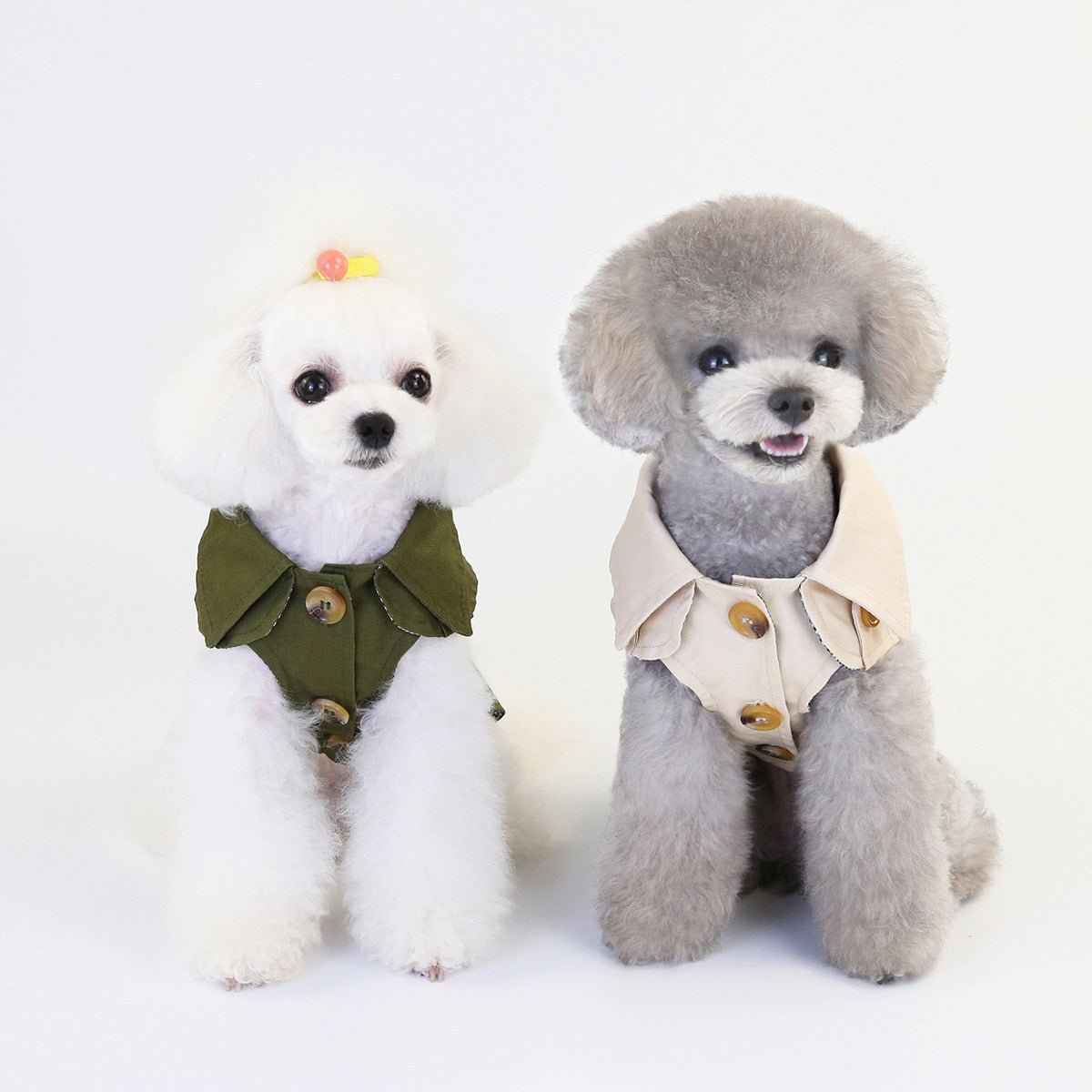 clothes for pets - key words