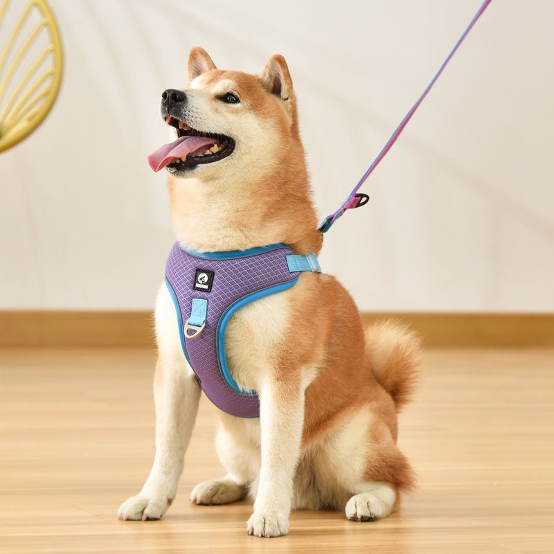 Pet Dog Harness Puppy Adjustable Breathable Mesh Reflective Saddle For Small Medium Dogs Cats Pet Supplies - key words