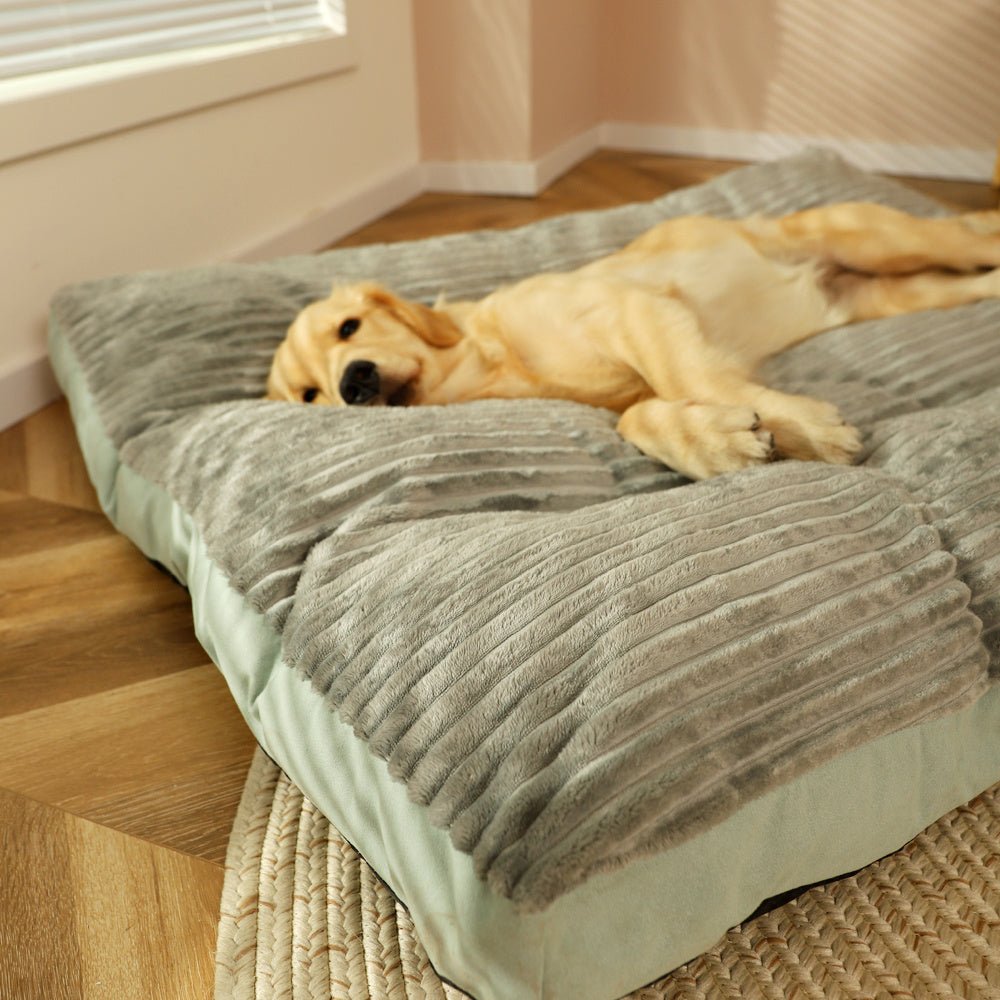 Removable And Washable Pet Products For Sleeping - key words