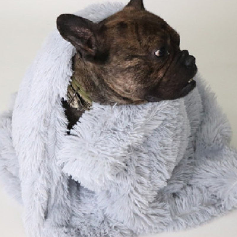Pet Dog Cat Blankets - key words