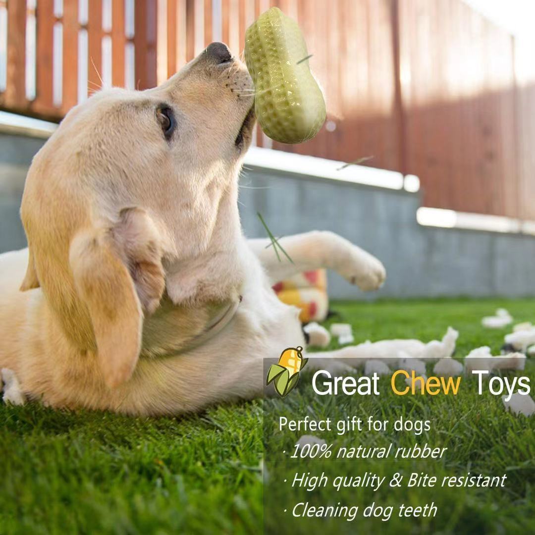 Funny Pet Dog Squeaky Toys For Small Middle Dogs Bite Resistant Puppy Cat Dogs Toys Pets Rubber Peanut Clean Tooth Chew Toy - key words