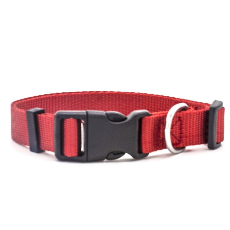 New Pet Collar - key words