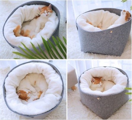 pet bed - key words
