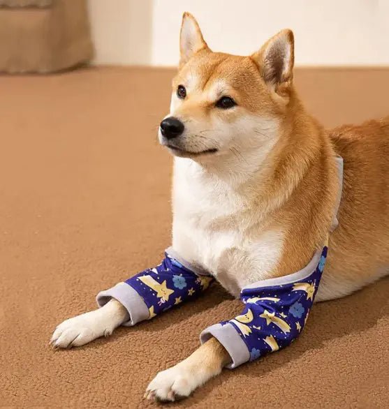 Dogs Knee Protector Pad - Everpeakgoods