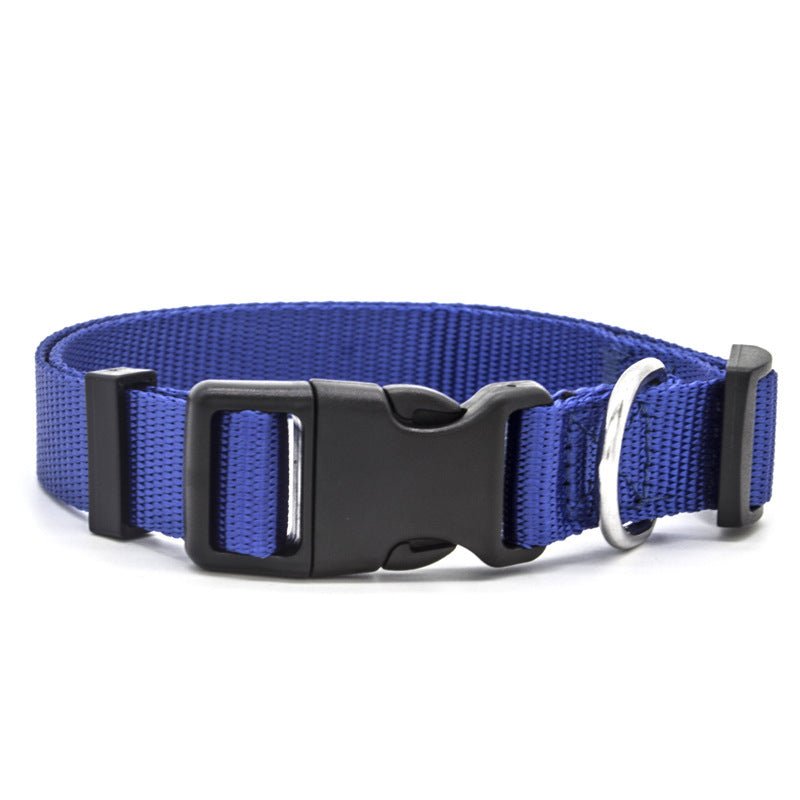 New Pet Collar - key words