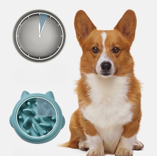 Pet Dog Cat Slow Feeder Bowls Anti Choking Slow Feeder Dish Bowl Home Dog Eating Plate Anti Gulping Bowl Supplies - key words