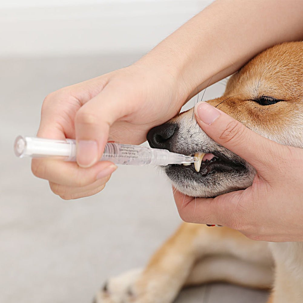 Pet Teeth Repairing Kit For Dog Cat Teeth Cleaning Pen Kit - key words