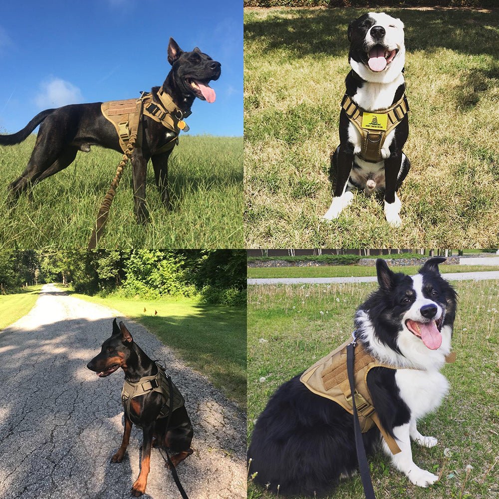 Military Tactical Dog Harness German Shepherd Adjustable Pet Dog Back - key words