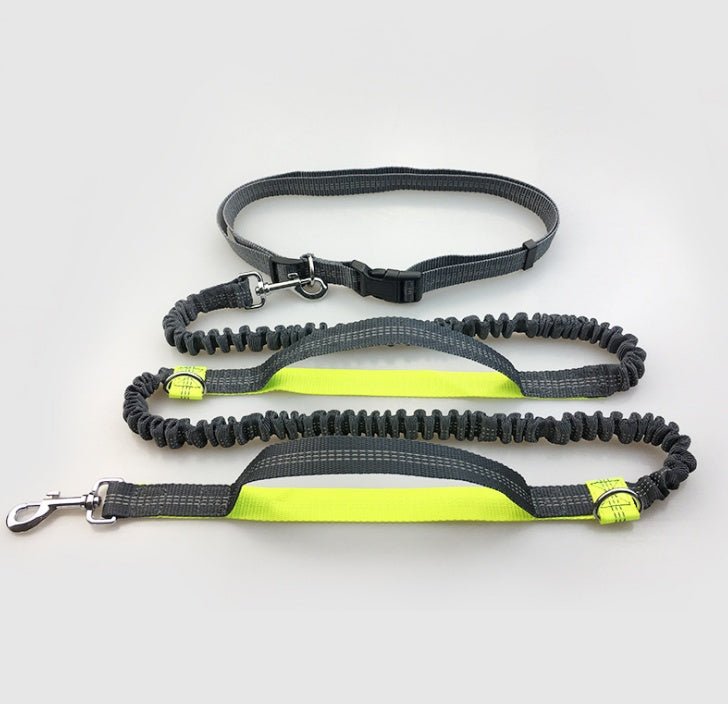 Amazon direct pet supplies multi-function running reflective pull dog leash double elastic dog leash traction - key words