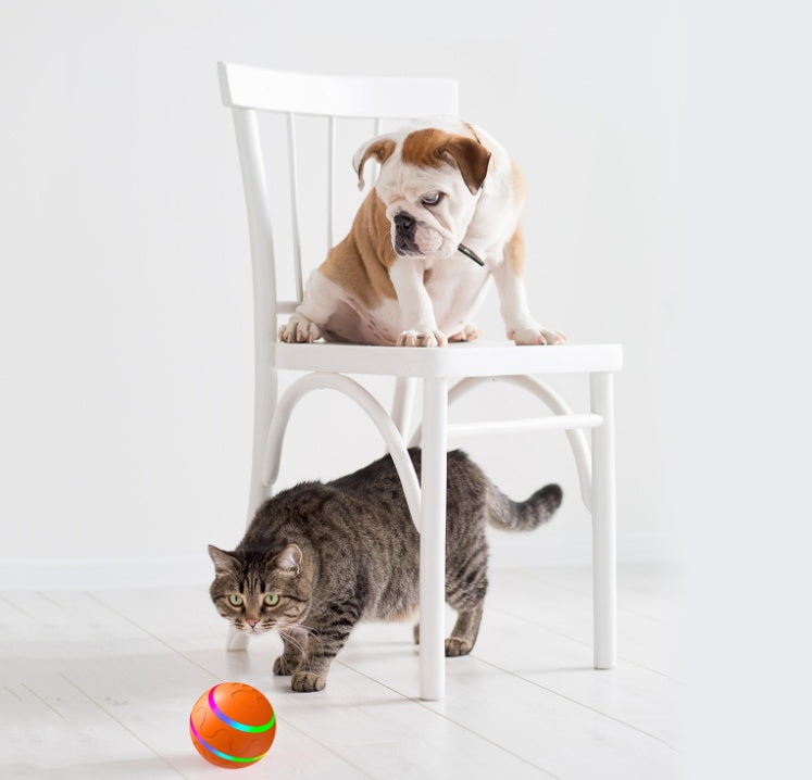 Pet New Cat Wicked Ball Toy Intelligent Ball USB Cat Toys Self Rotating Ball Automatic Rotation Ball - key words