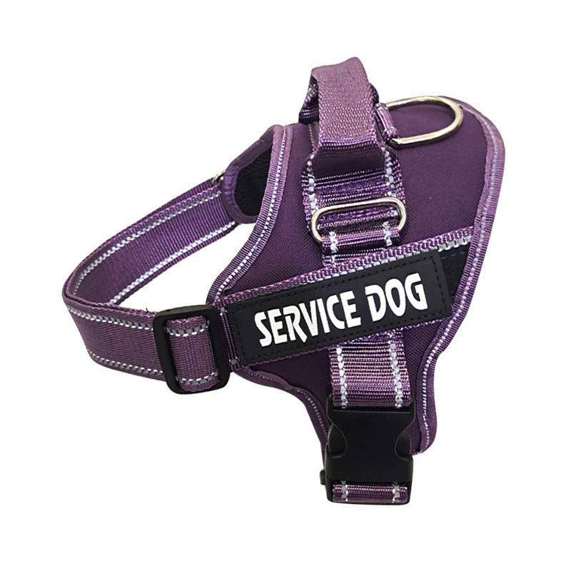 Personalization Of Pet Chest Strap Products - key words
