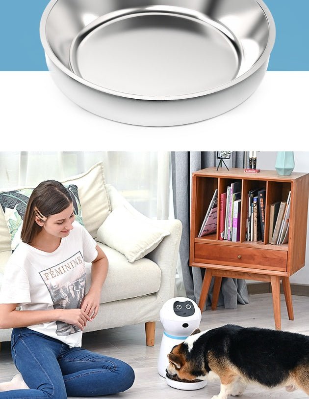 Automatic pet feeder - key words