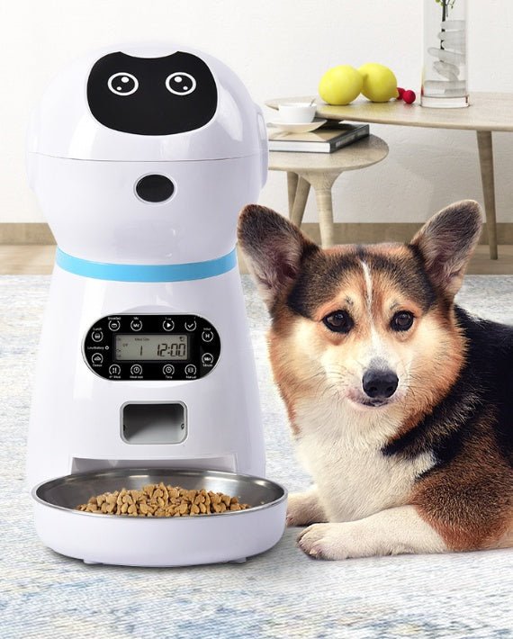 Automatic pet feeder - key words