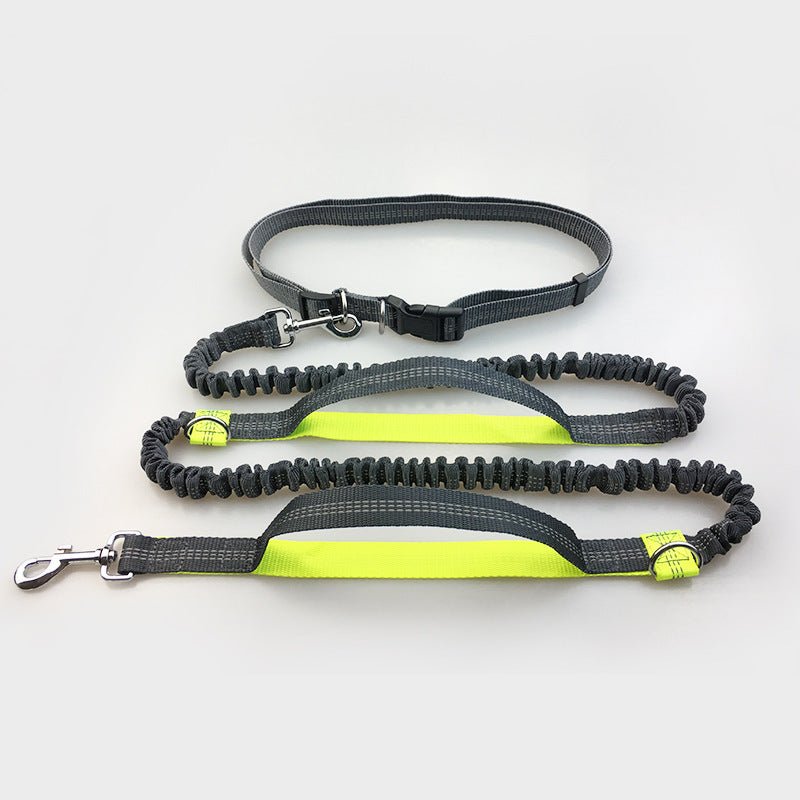 Amazon direct pet supplies multi-function running reflective pull dog leash double elastic dog leash traction - key words