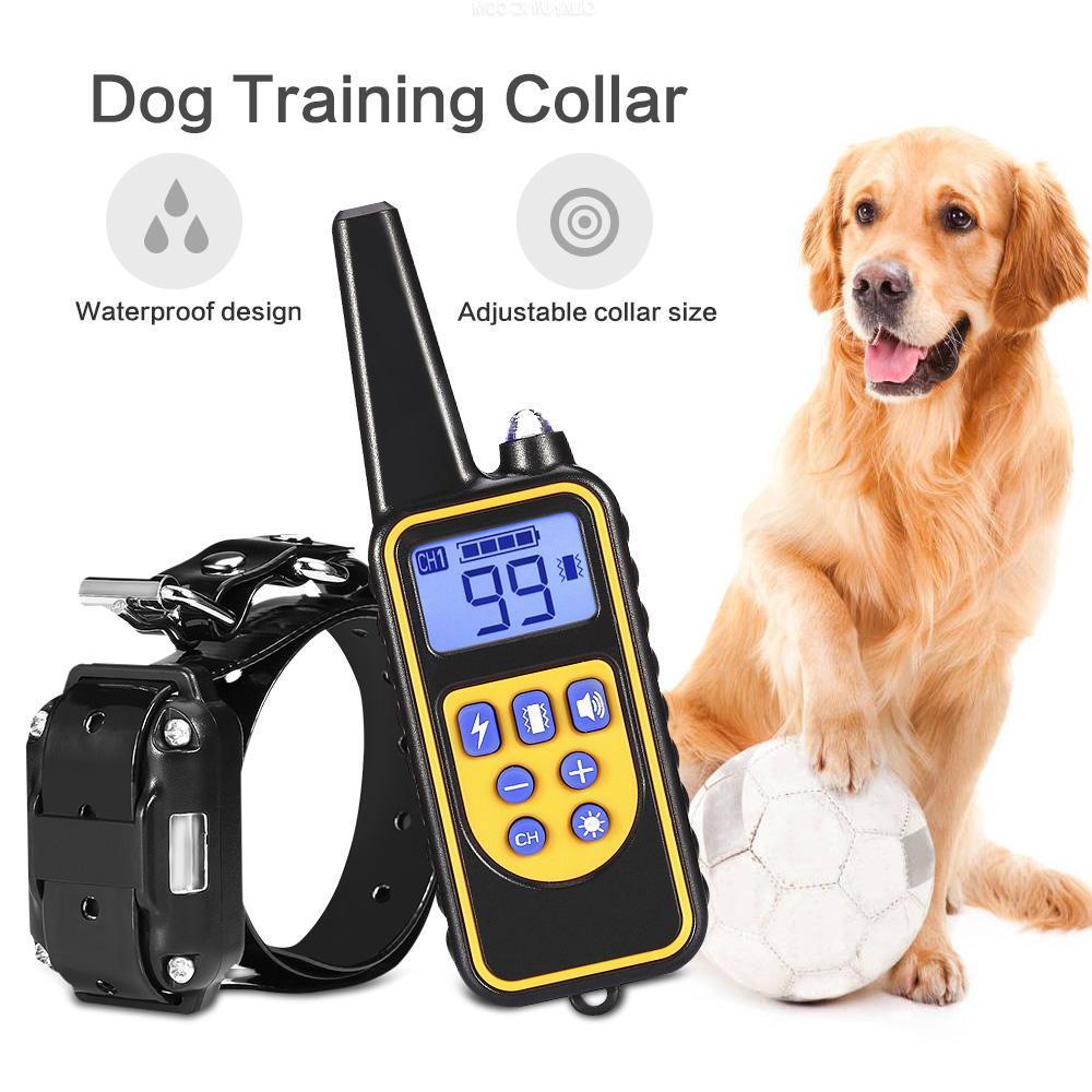 800m Electric Dog Training Collar Anti - barking Device - Everpeakgoods