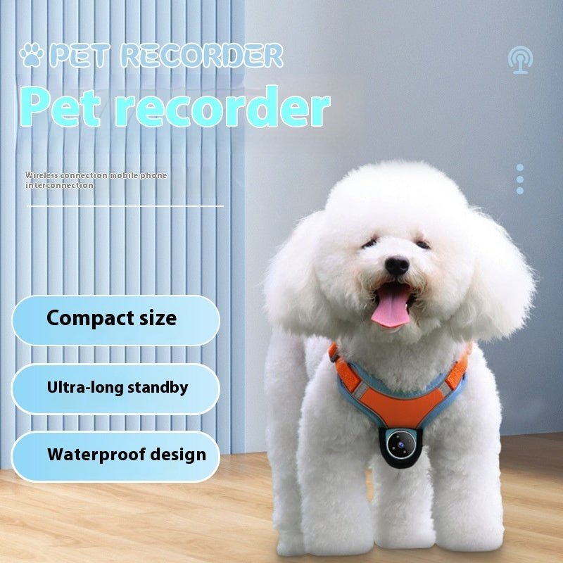 Pets Recorder Pet Tracker Collar Dogs And Cats Viewing Angle Motion Recording Camera Action Camera With Video Records Cat Collars Camera Sport Pet Products - key words