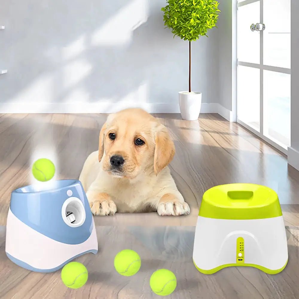 Automatic Tennis Ball Launcher - Everpeakgoods