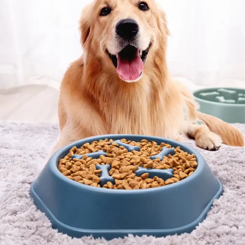 Slow Feeder Pet Bowl - Everpeakgoods