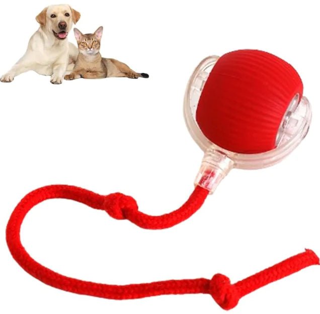 Smart Rolling Pet Ball - Everpeakgoods