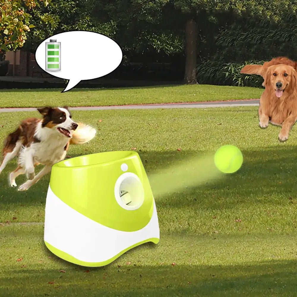 Automatic Tennis Ball Launcher - Everpeakgoods