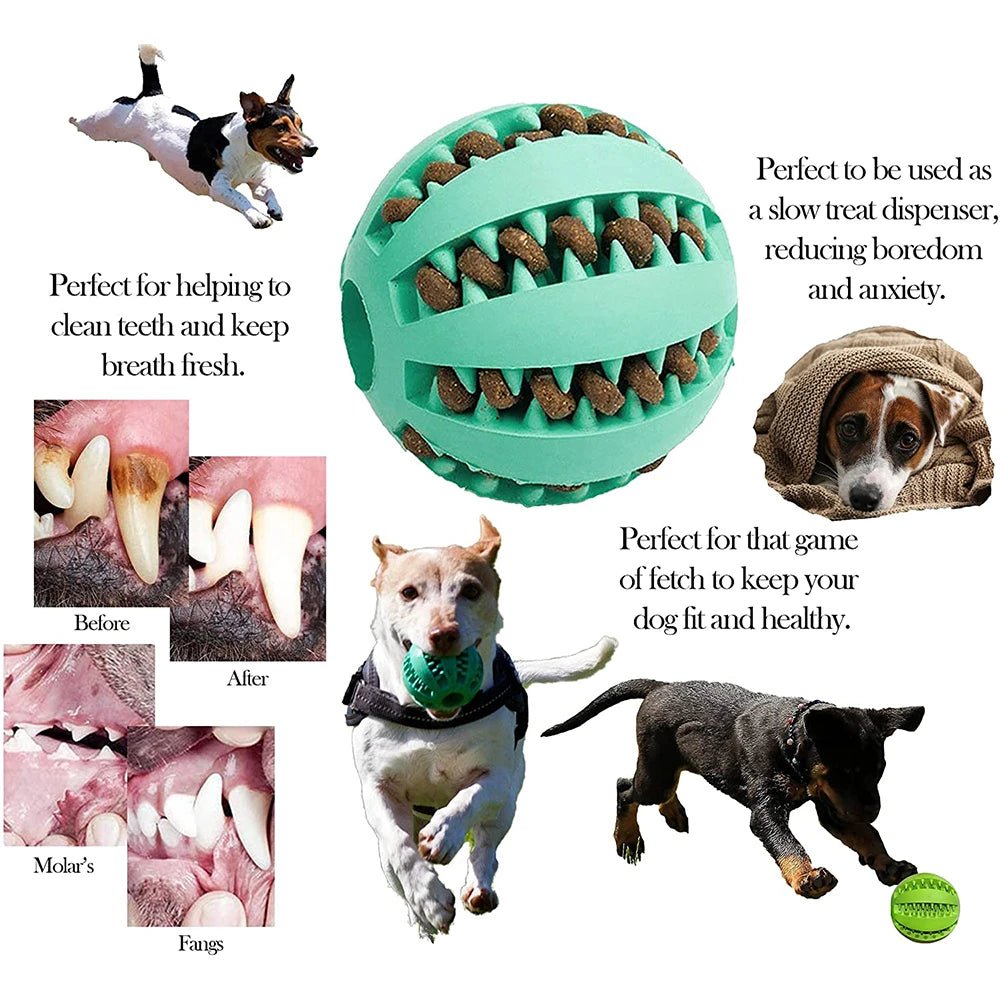 Toys for Dogs Rubber Dog Ball for Puppy Funny Dog Toys for Pet Puppies Large Dogs Tooth Cleaning Snack Ball Toy for Pet Products - key words