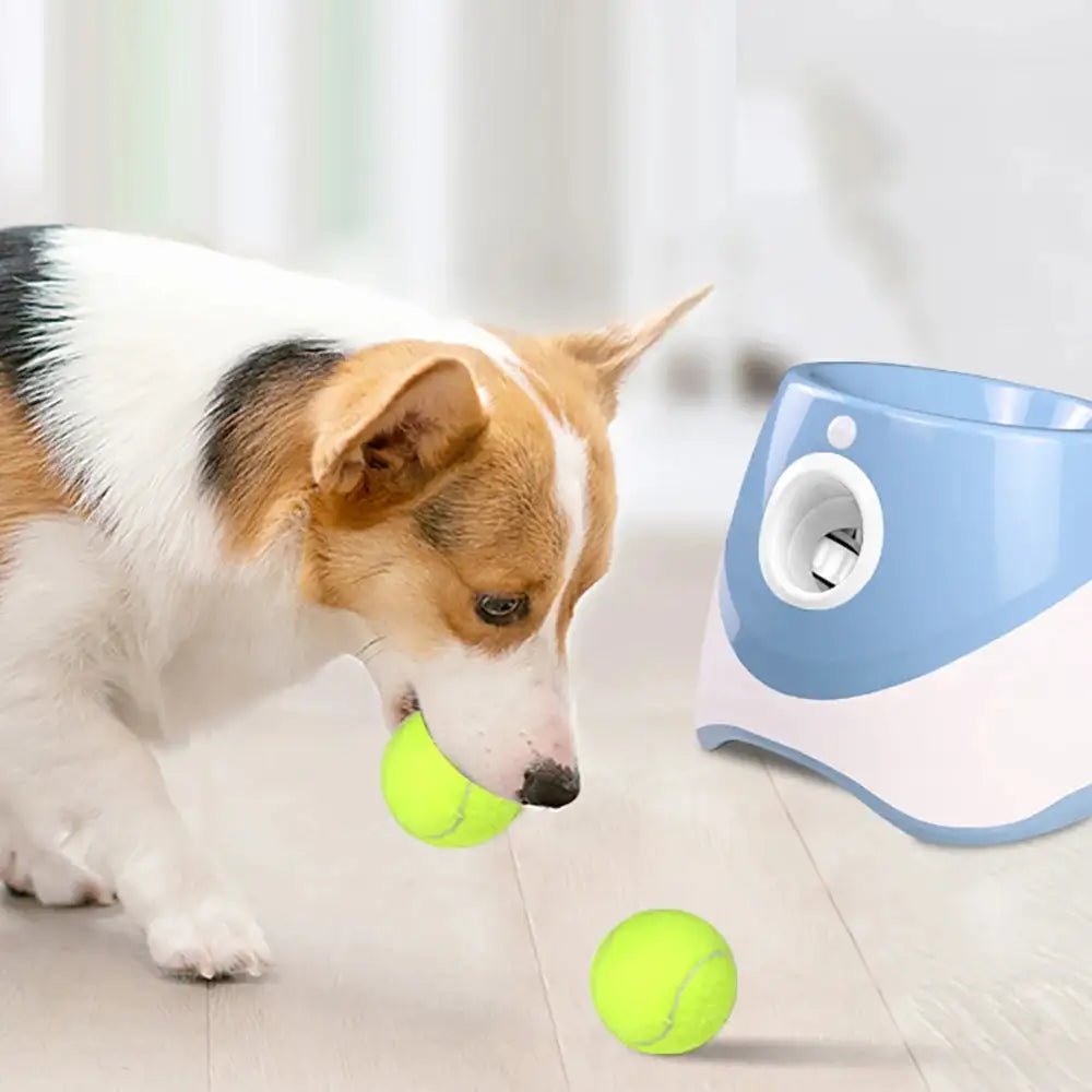 Automatic Tennis Ball Launcher - Everpeakgoods