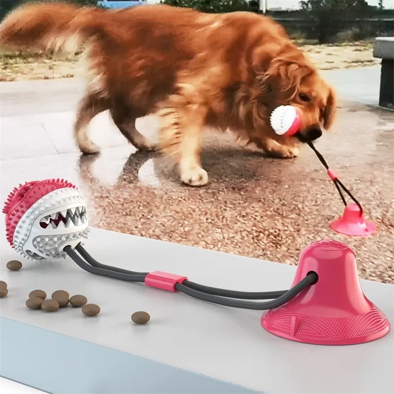 Suction Ball Interactive Dog Toy - Everpeakgoods