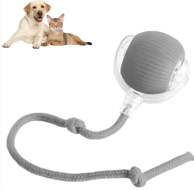Smart Rolling Pet Ball - Everpeakgoods