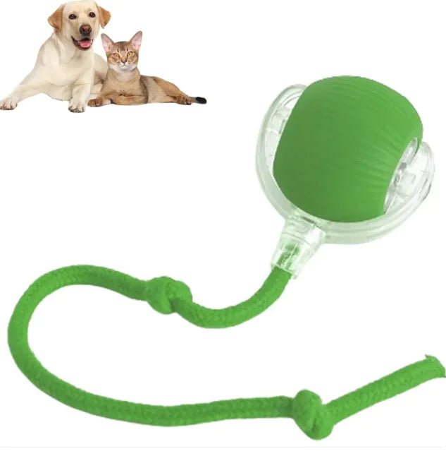 Smart Rolling Pet Ball - Everpeakgoods