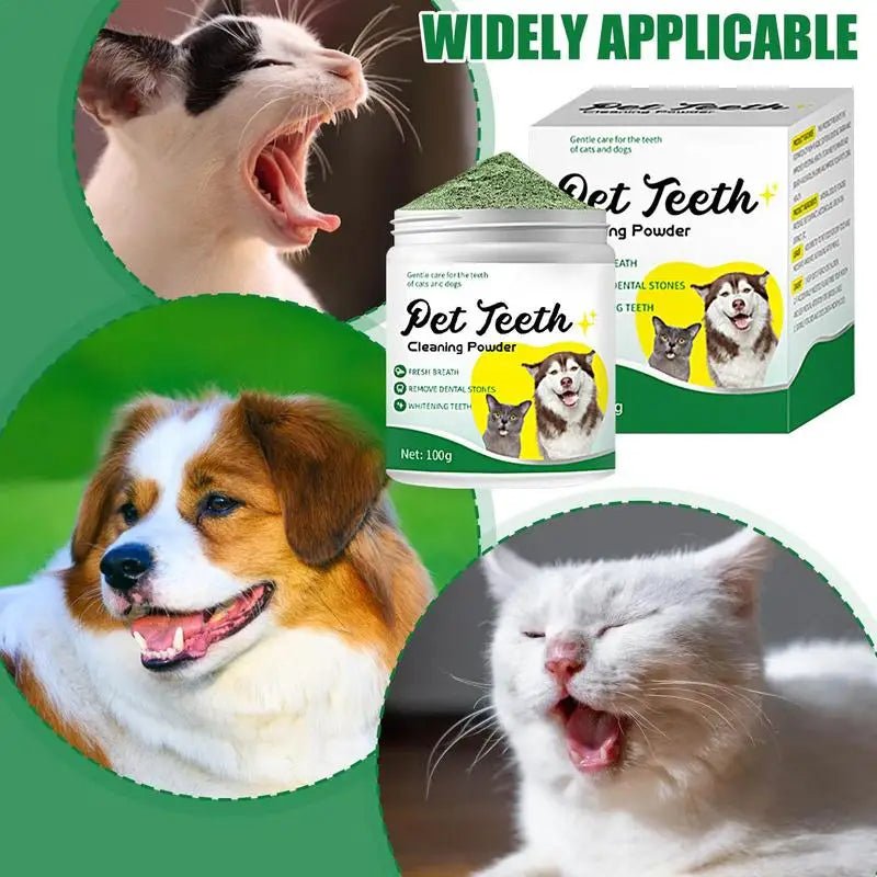 Food grade canine tooth cleaning powder, advanced care 100g formula, small and medium-sized canine tooth powder - key words