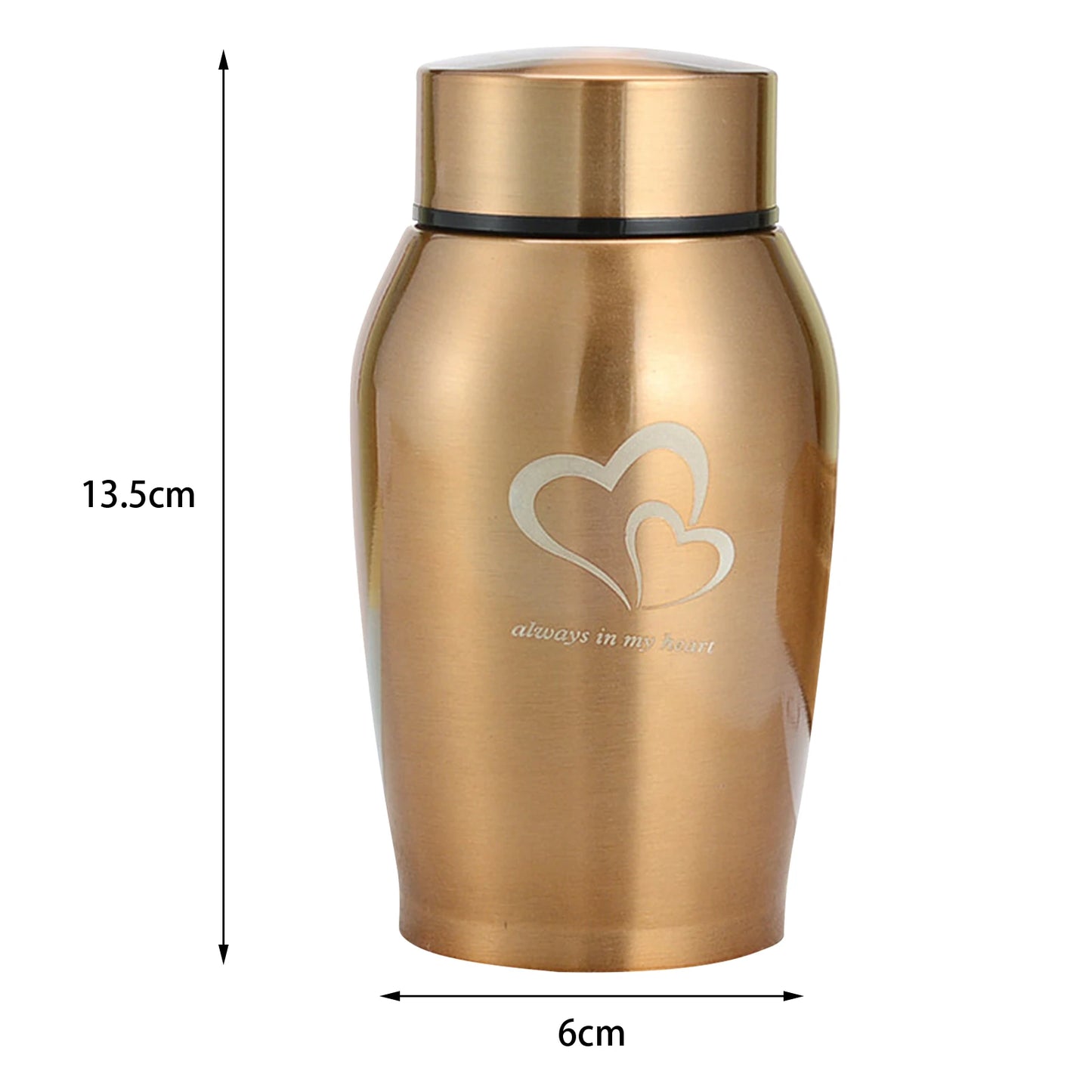 Memorials Pet Urn Storage Container Portable Keeping Precious Memories Memorial Ash Holder for Rabbit Dogs Kitty Cat Kitten - key words