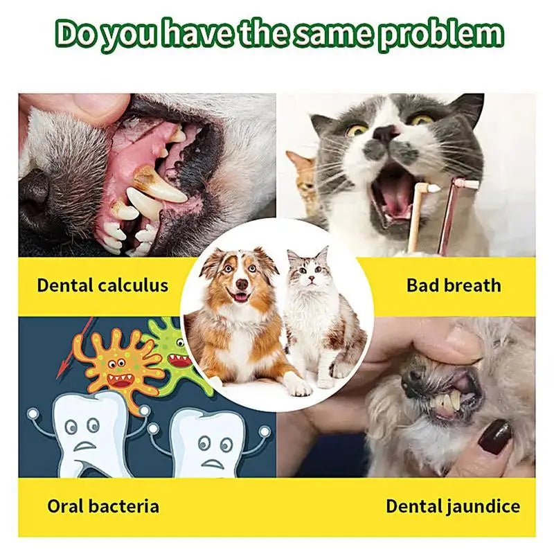 Food grade canine tooth cleaning powder, advanced care 100g formula, small and medium-sized canine tooth powder - key words