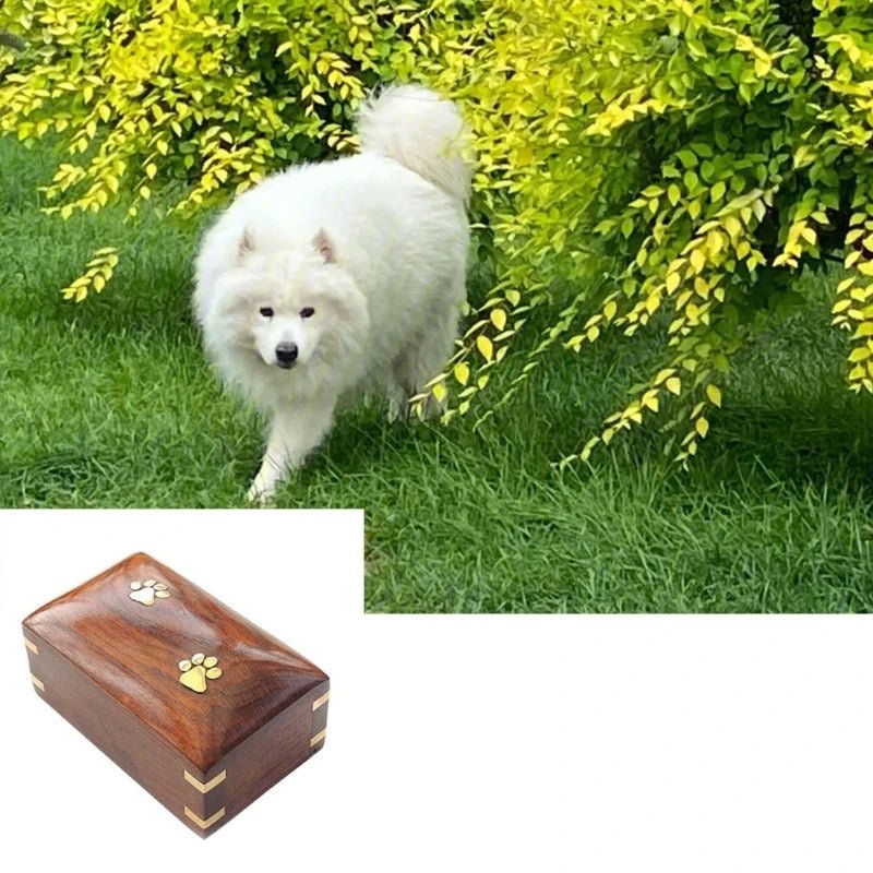 Long Lasting Pet Urn Box Material Perfect for Cherished Pet Ashes Memories - key words