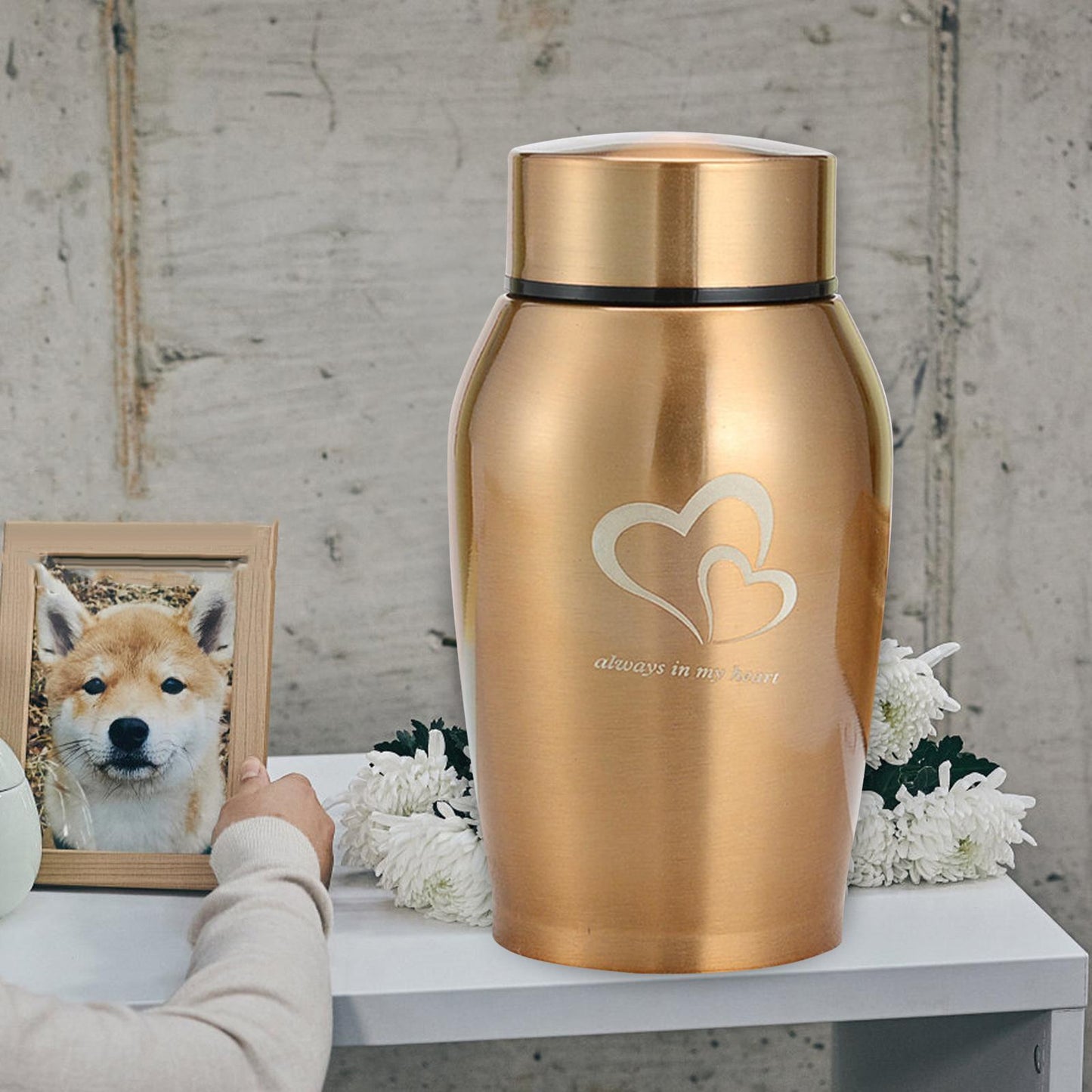 Memorials Pet Urn Storage Container Portable Keeping Precious Memories Memorial Ash Holder for Rabbit Dogs Kitty Cat Kitten - key words