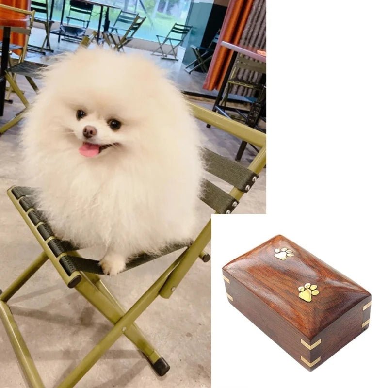 Long Lasting Pet Urn Box Material Perfect for Cherished Pet Ashes Memories - key words
