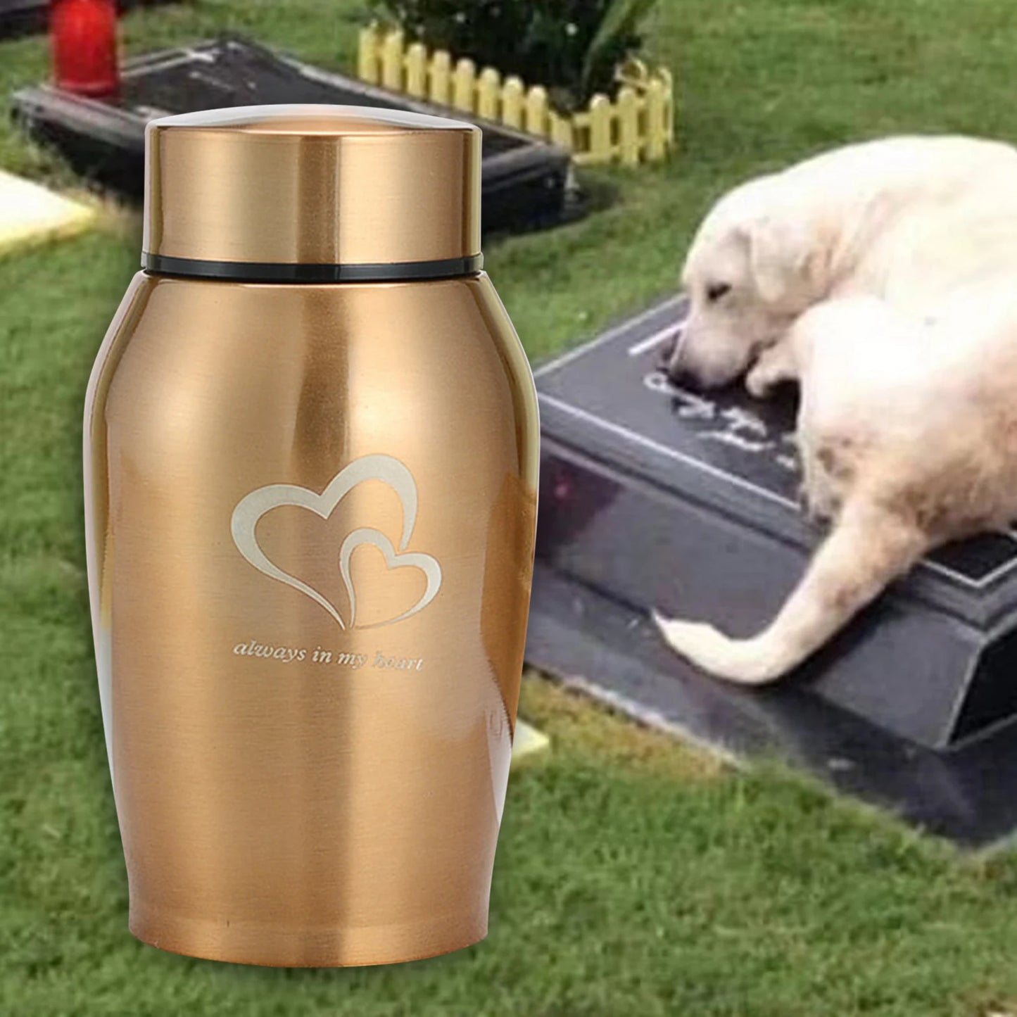 Memorials Pet Urn Storage Container Portable Keeping Precious Memories Memorial Ash Holder for Rabbit Dogs Kitty Cat Kitten - key words