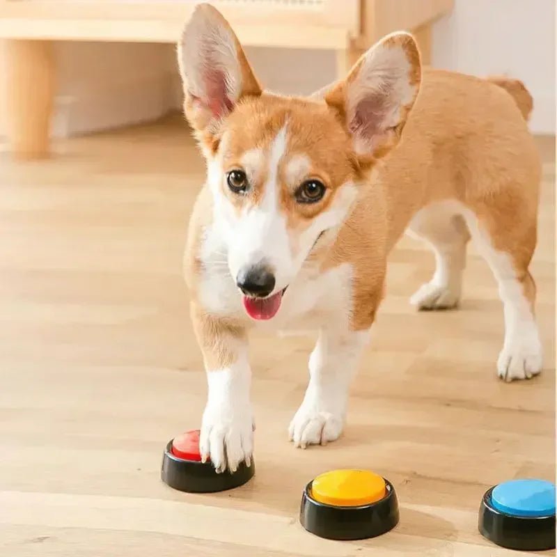 Personalized Sound Buzzers Recordable Answer Buzzers Talking Button Dogs Button for Communication Dog Training - key words