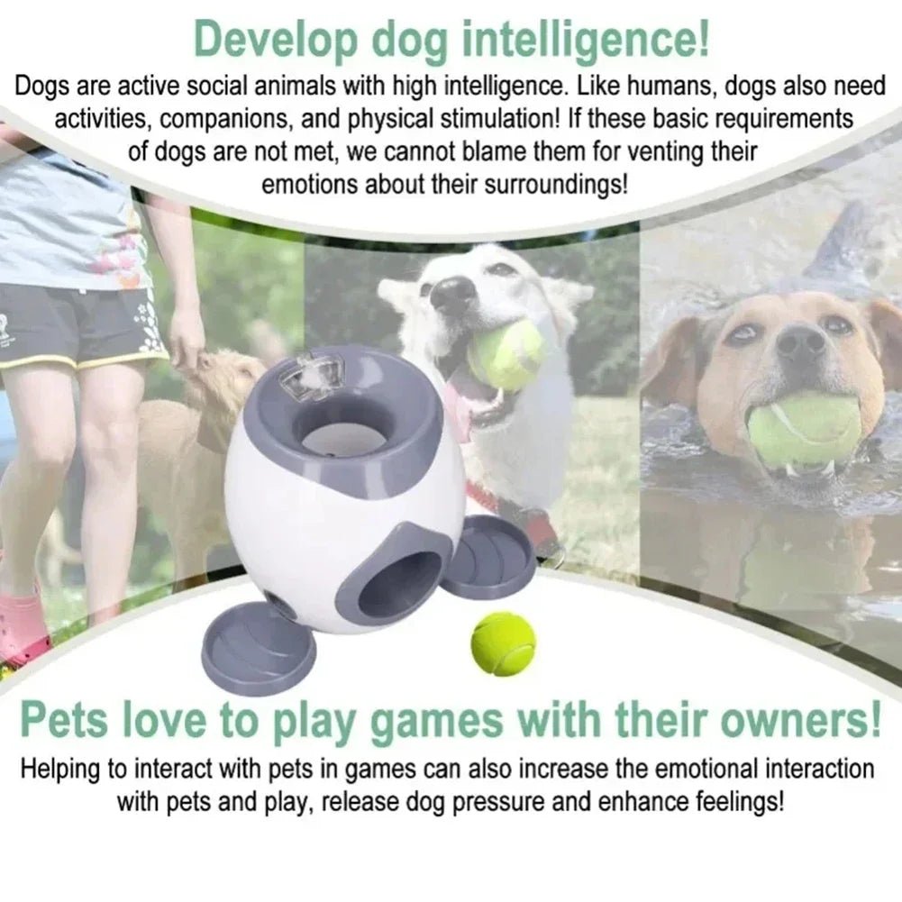 Automatic Pet Feeder Interactive Funny Throwing Smart Feeder Cat Interactive Toy - key words