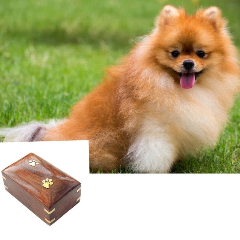Long Lasting Pet Urn Box Material Perfect for Cherished Pet Ashes Memories - key words